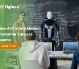 SEO Flyfone (41)